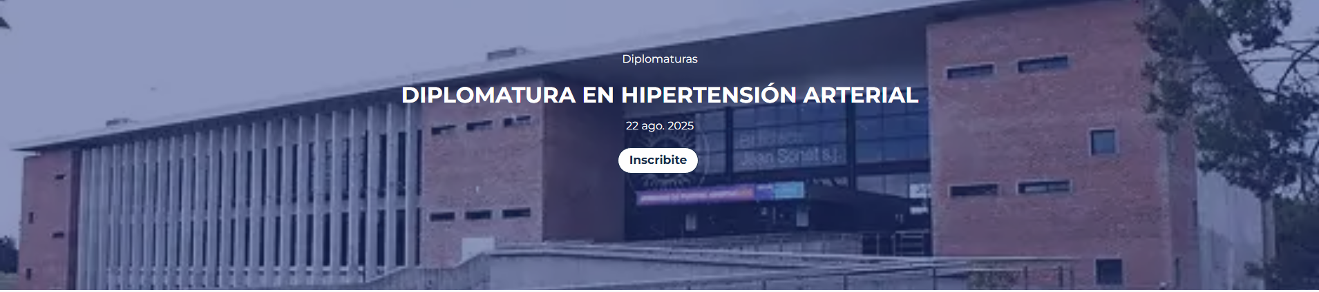 Curso 2025